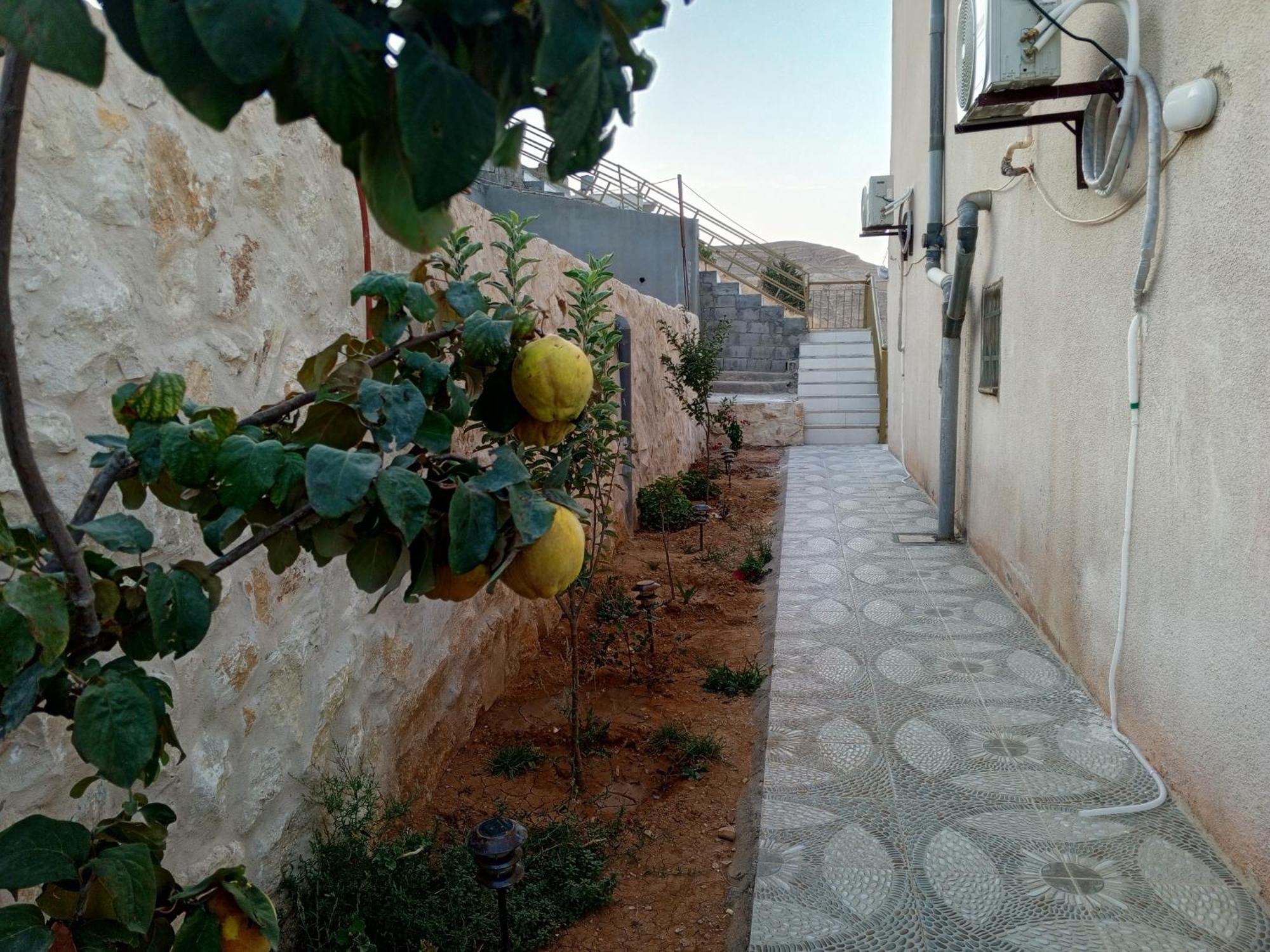 וואדי מוסא Petra Inn House מראה חיצוני תמונה